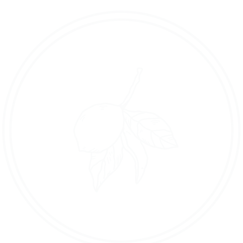 A black and white picture of a bee